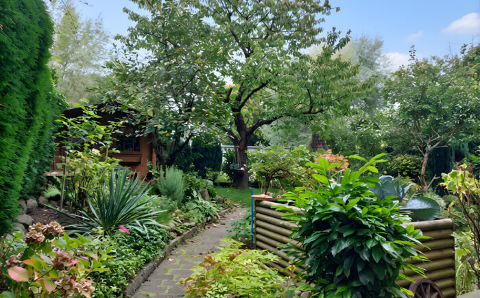 Blick in den Garten