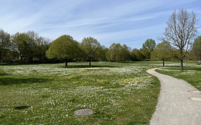 Park in näherer Umgebung