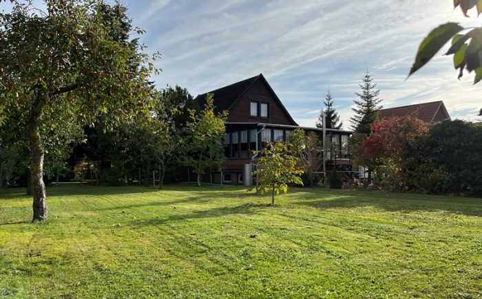 Blick in den Garten