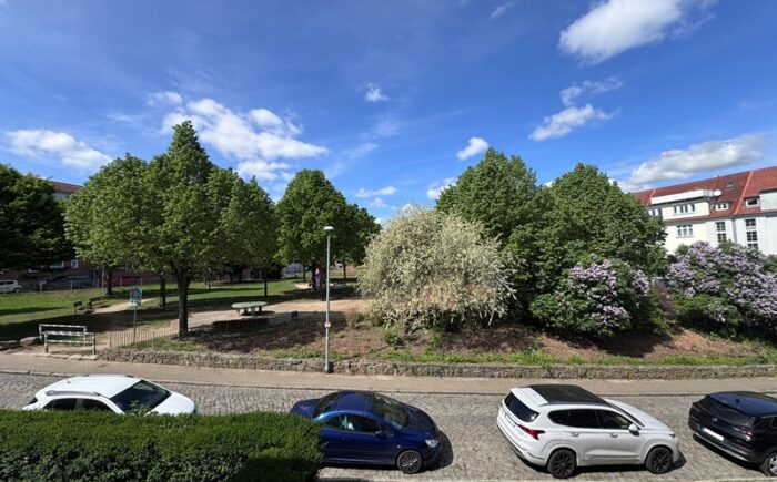 Blick auf den Löwenplatz